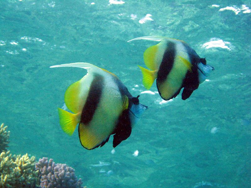 2009-12-02 15-19-22S.jpg